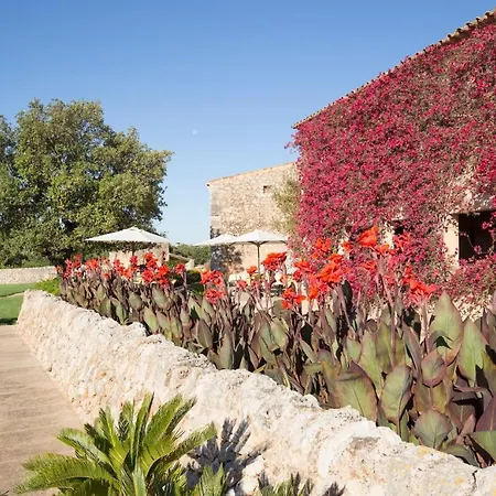 Hotel Son Cosmet